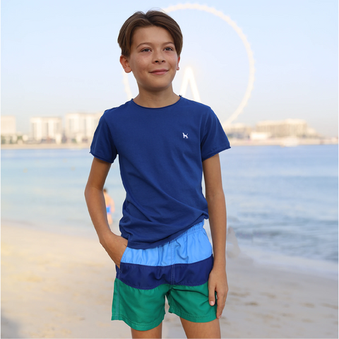 FRANKY BOARDSHORTS - BNG